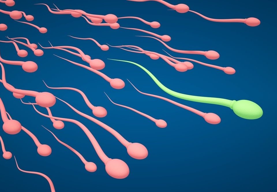 male fertility treatment in indore