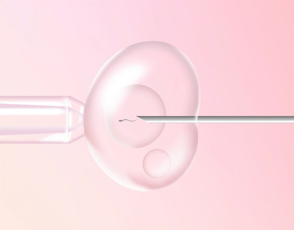 IVF clinics in Indore